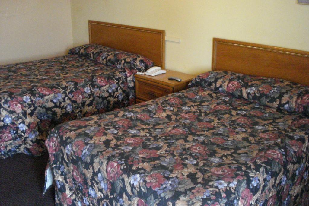 Eastcourt London Motel 客房 照片
